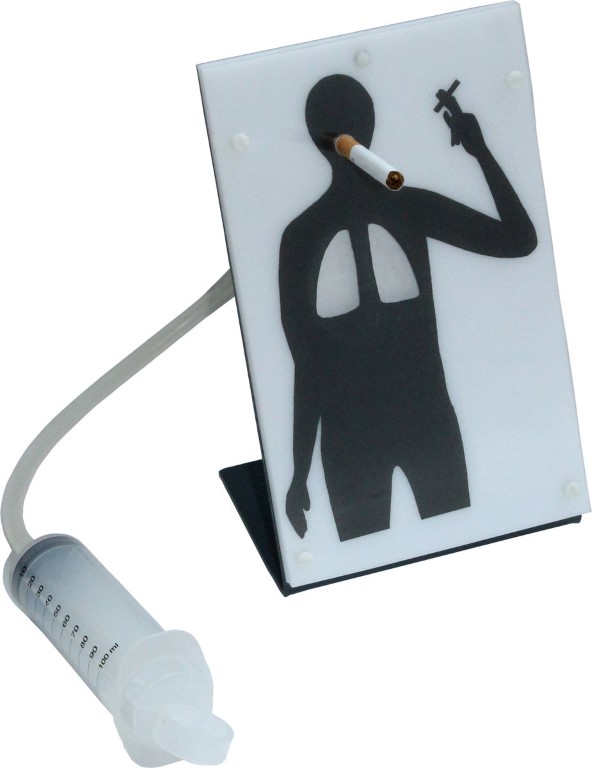 Raucher-Modell