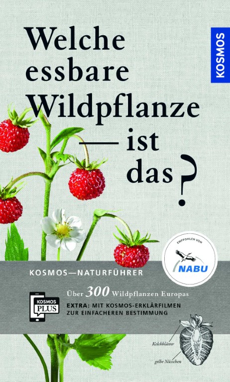 Welche essbare Wildpflanze ist das? Welche essbare Wildpflanze ist das?