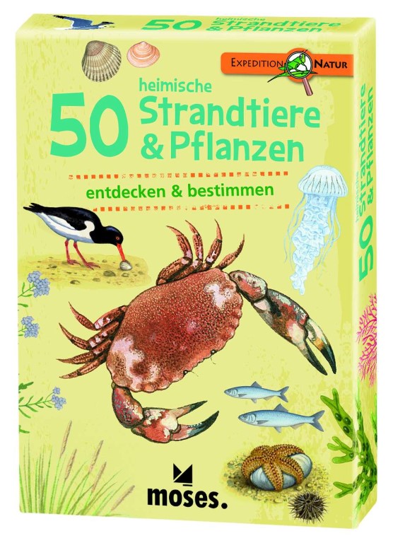 50 heimische Strandtiere & Pflanzen, Bestimmungskarten 50 heimische Strandtiere & Pflanzen, Bestimmungskarten