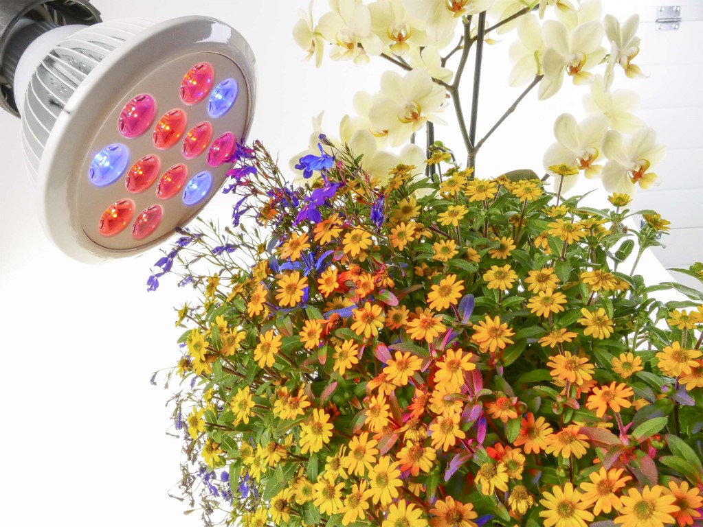 Pflanzenlampe LUMIN-TECO, LED, 12Watt