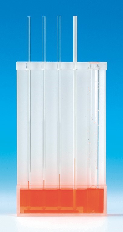 Kapillarröhrchen in Halter Kapillarröhrchen in Halter