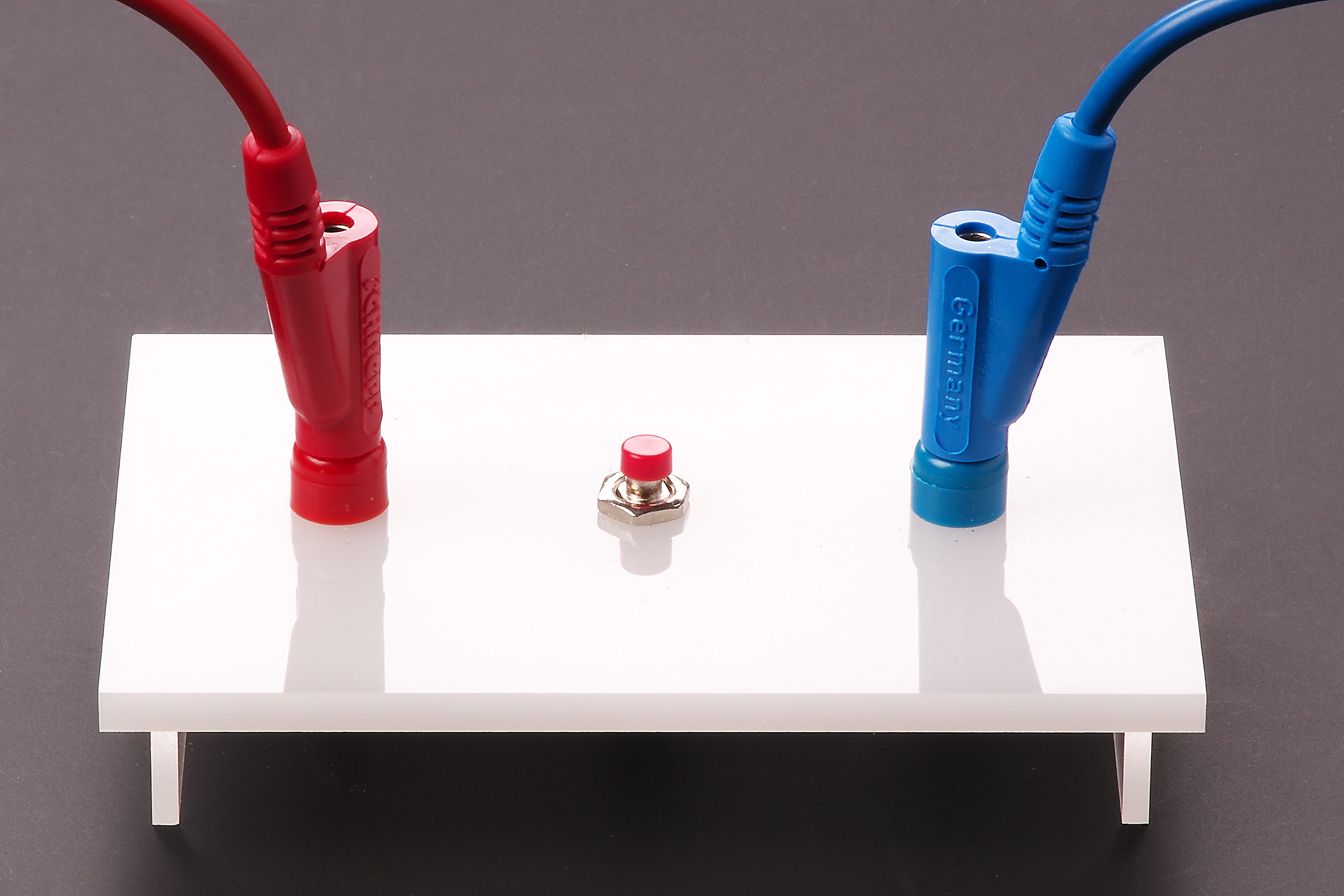 134311620 Taster auf Plexiglassockel