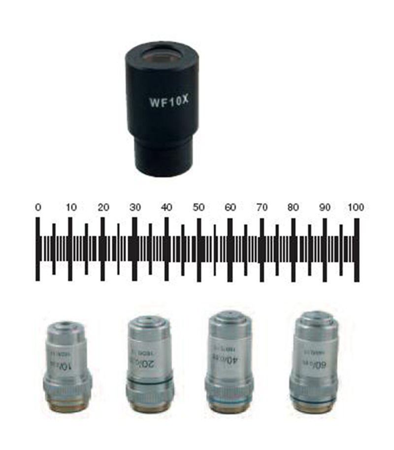 Okular WHSZ15xH, Sehfeldzahl 16mm, Dioptrienverstellung 8 bis +5 Okular WHSZ15xH, Sehfeldzahl 16mm, Dioptrienverstellung 8 bis +5