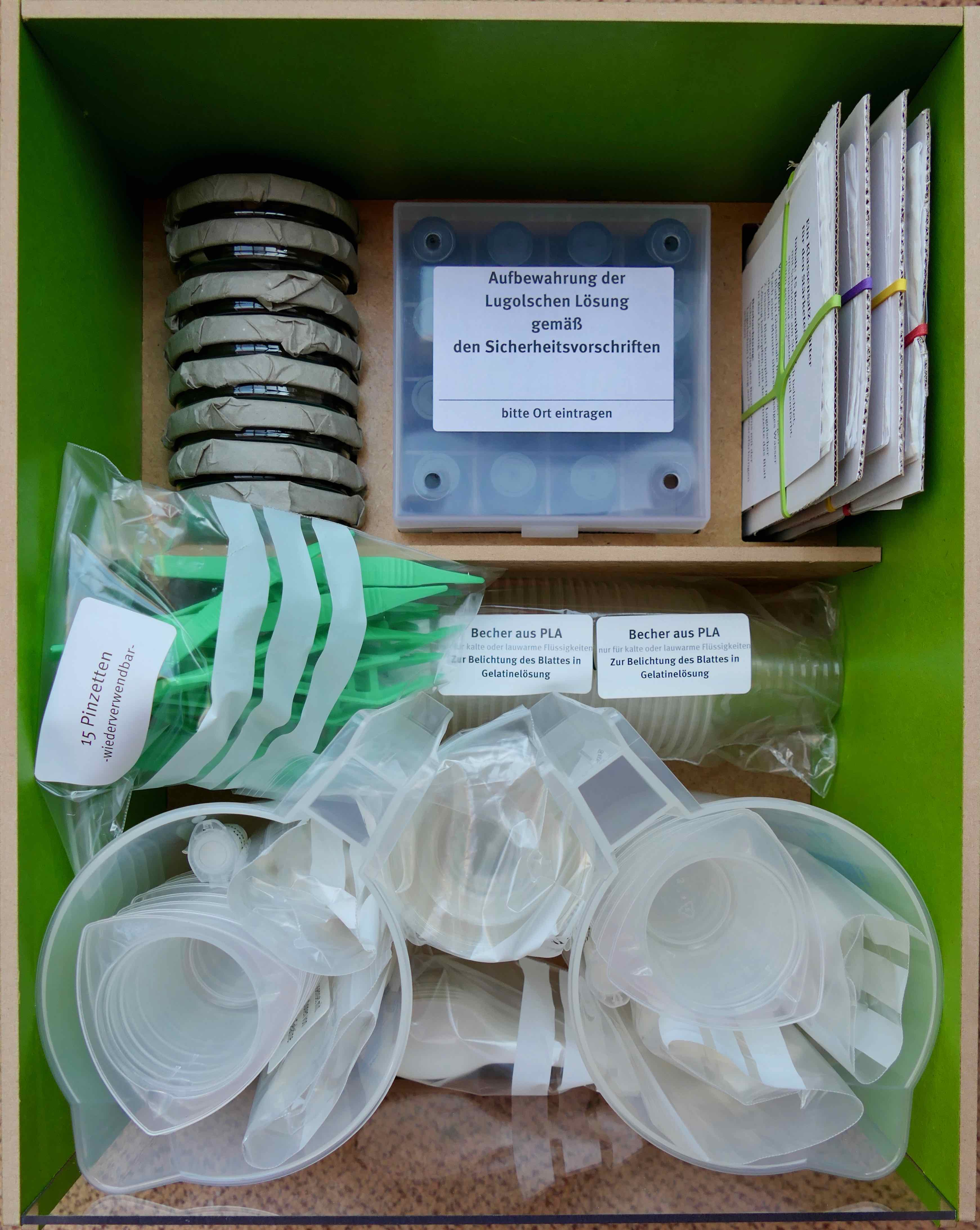 Lernbox Fotosynthese 1