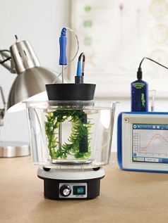 Photosynthese Tank Photosynthese Tank