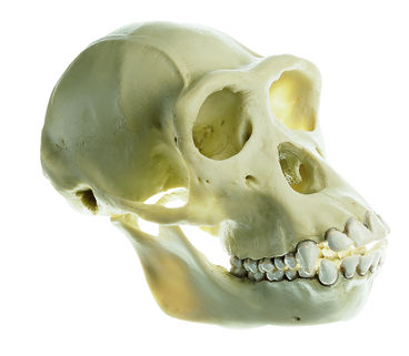 zos53_2