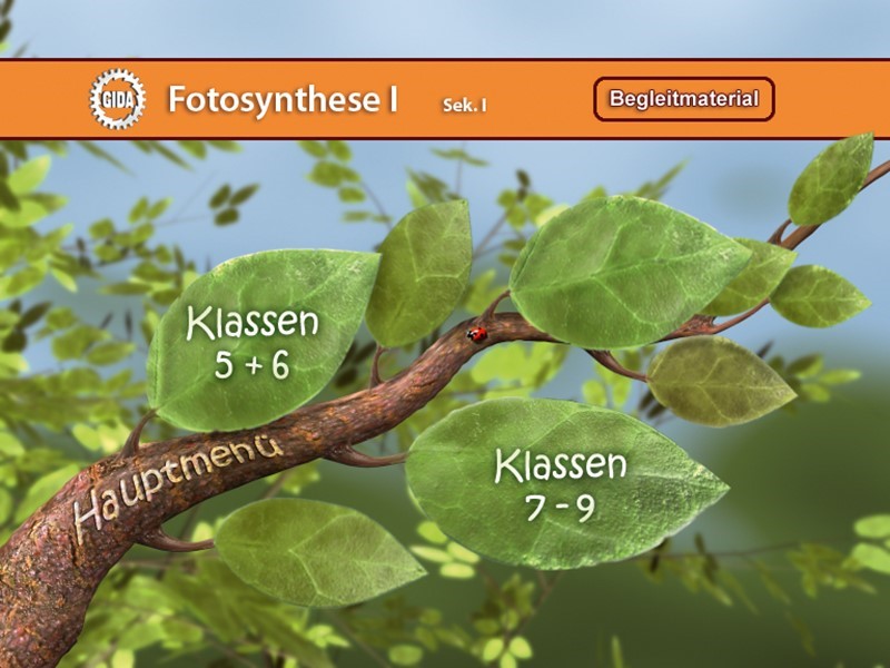 DVD - Fotosynthese I