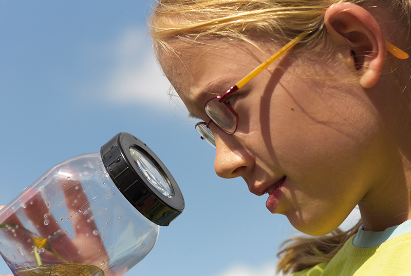 800320006 Die "Ur-Flaschenlupe"!