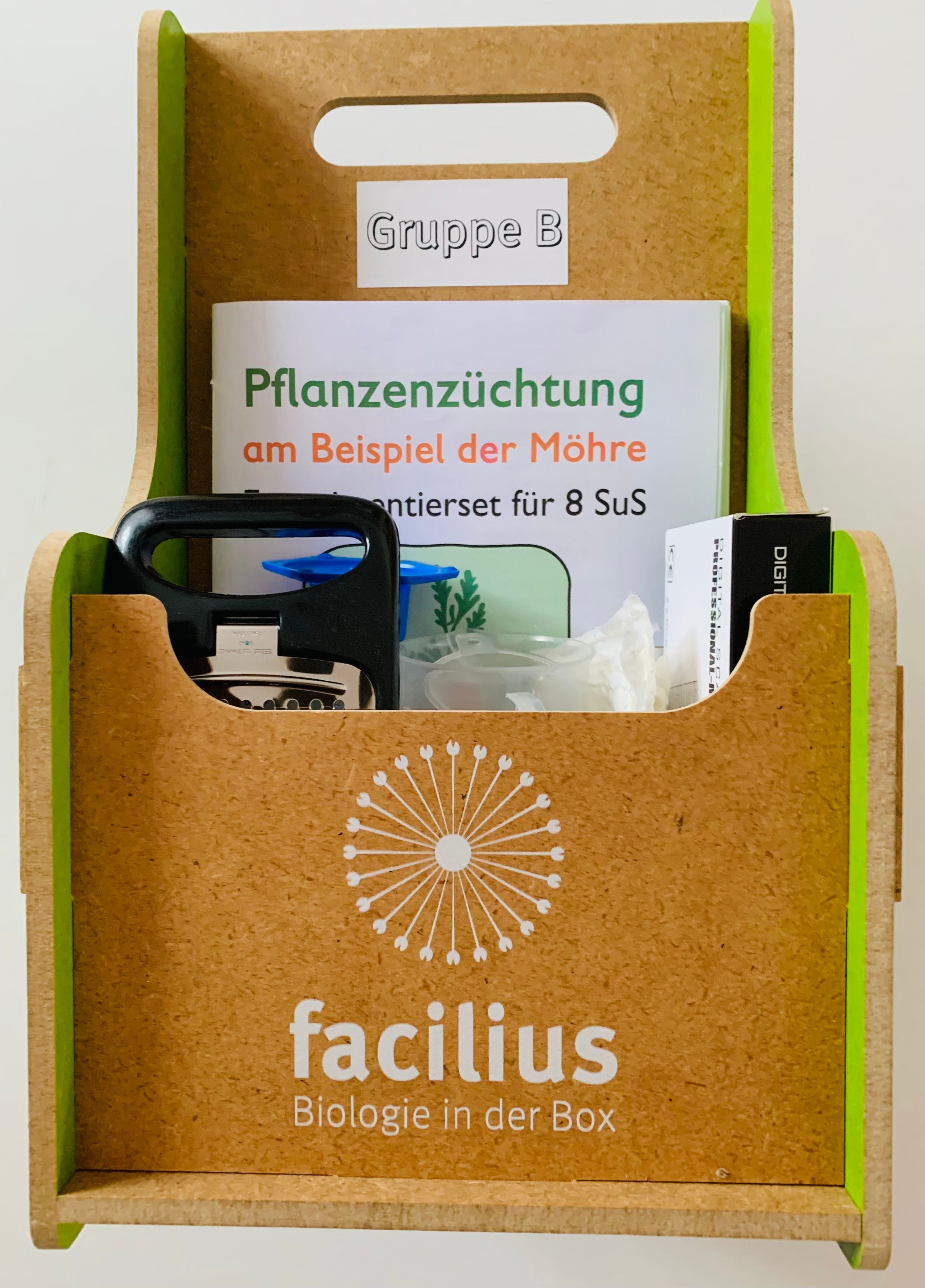 Pflanzenzüchtung ( Beispiel Möhre )