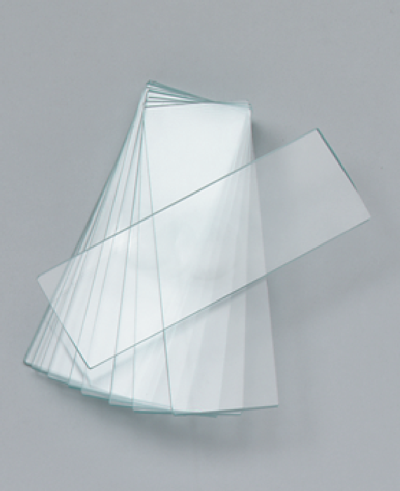 Objektträger mit einer Vertiefung Objektträger mit einer Vertiefung