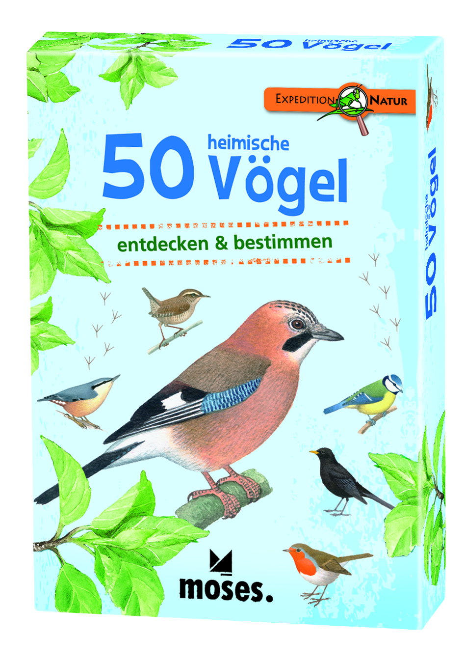 50 heimische Vögel