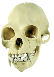 zos53_7