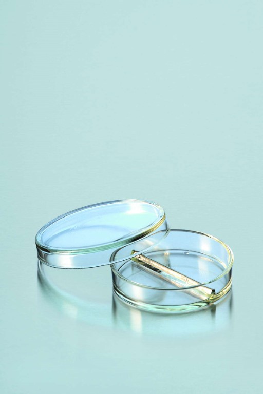 Petrischale aus DURAN-Glas mit Teilung