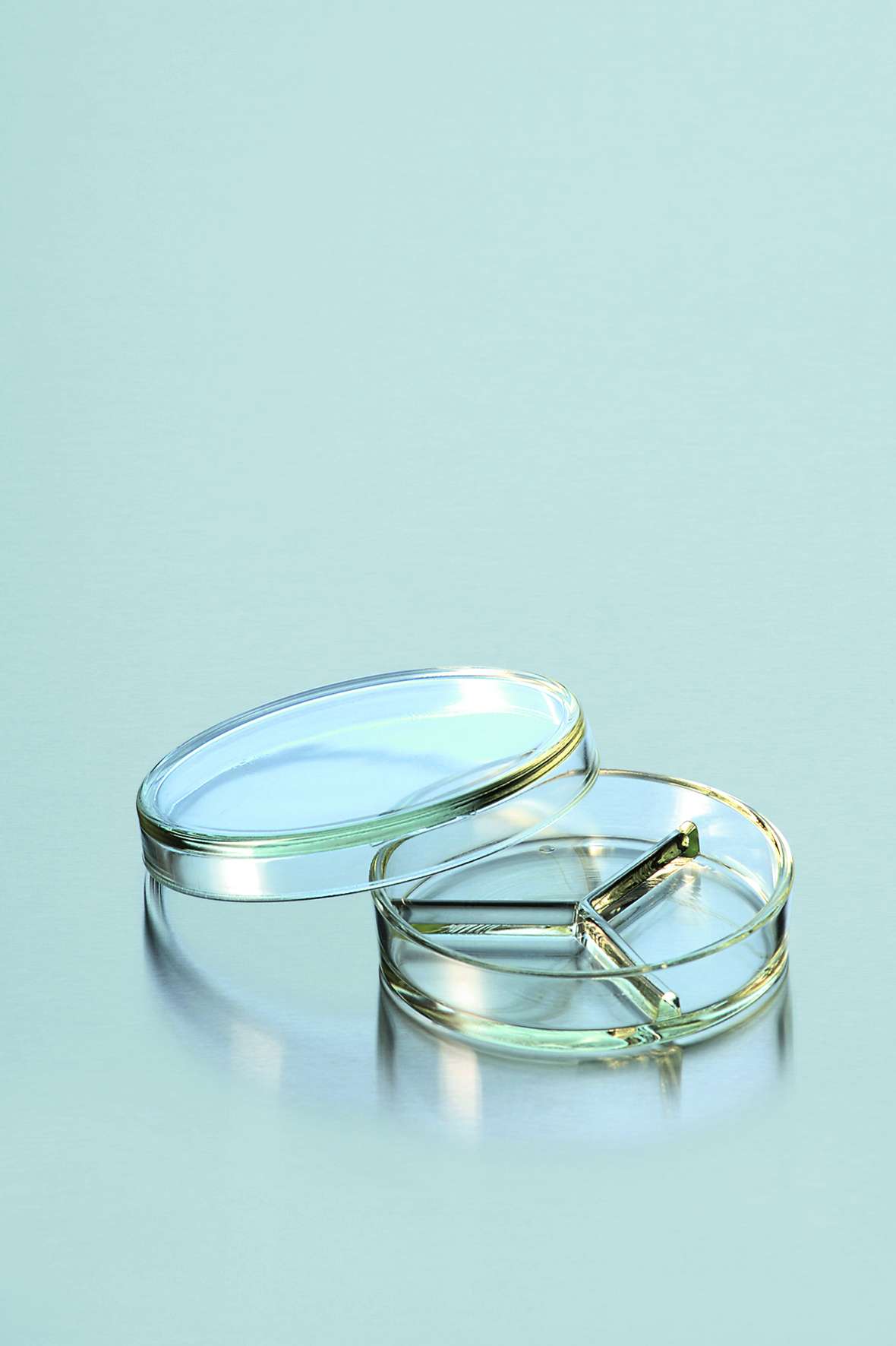 Petrischale aus DURAN-Glas mit Teilung