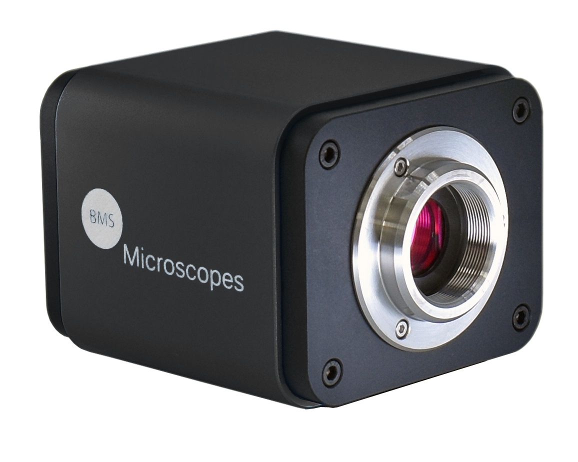 Mikroskop Kamera mit Multiausgang für 4 K