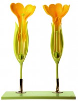 Duftende Schlüsselblume Duftende Schlüsselblume