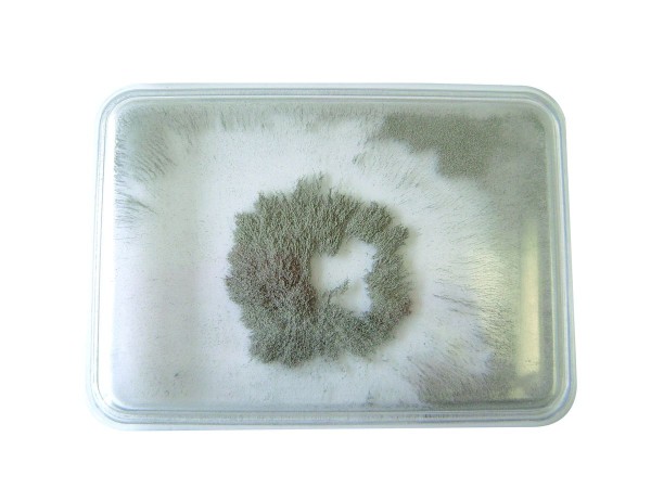 Eisenpulver Box