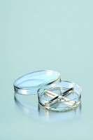 Petrischale aus DURAN-Glas mit Teilung Petrischale aus DURAN-Glas mit Teilung