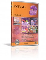 DVD - Enzyme DVD - Enzyme