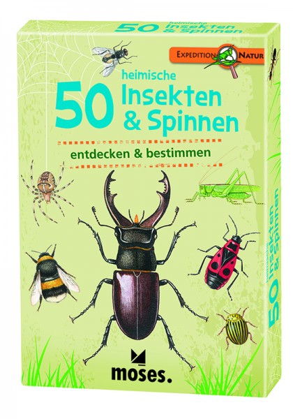 Bestimmungskarten Insekten
