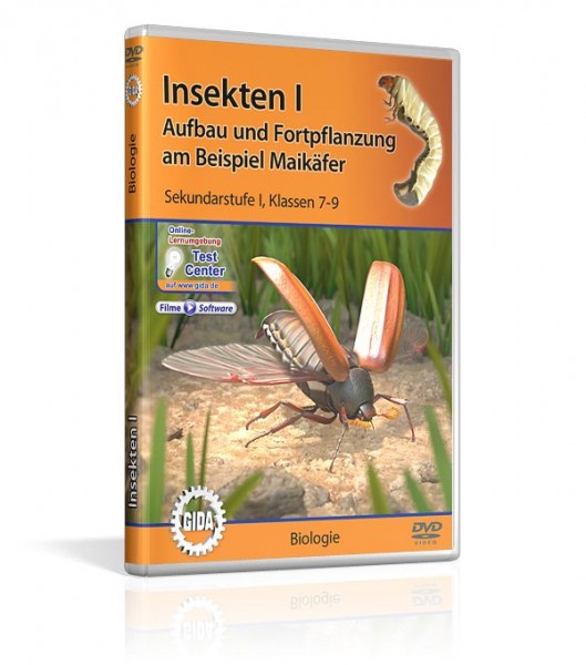 Lehrfilm Insekten