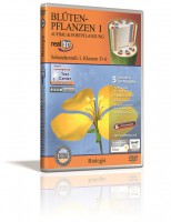 Blütenpflanzen I - 3D Software Blütenpflanzen I - 3D Software
