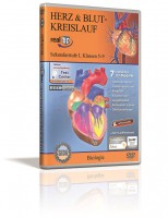 Herz & Blutkreislauf Herz & Blutkreislauf