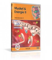 Muskel & Energie II Muskel & Energie II