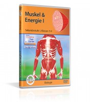 Muskel & Energie lehrfilm Muskel & Energie lehrfilm