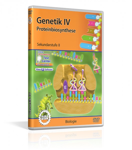 Genetik IV