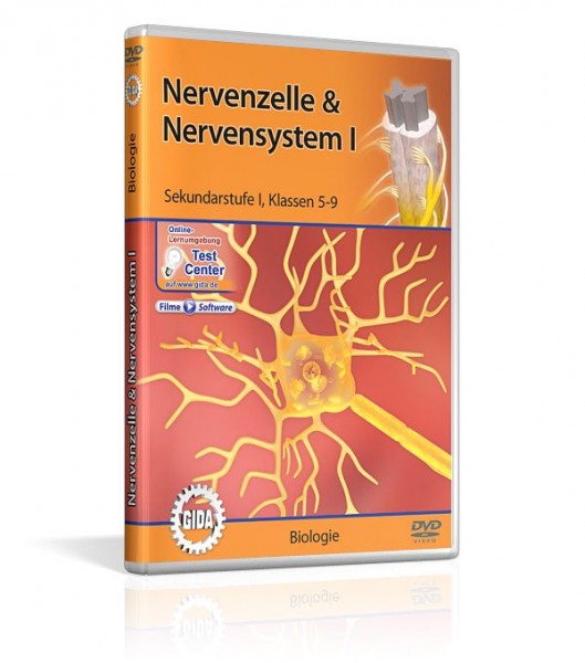 Real 3D Software - Nervenzelle & Nervensystem I