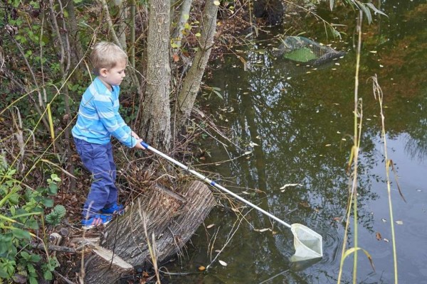 Wasserkescher mit Teleskopstange