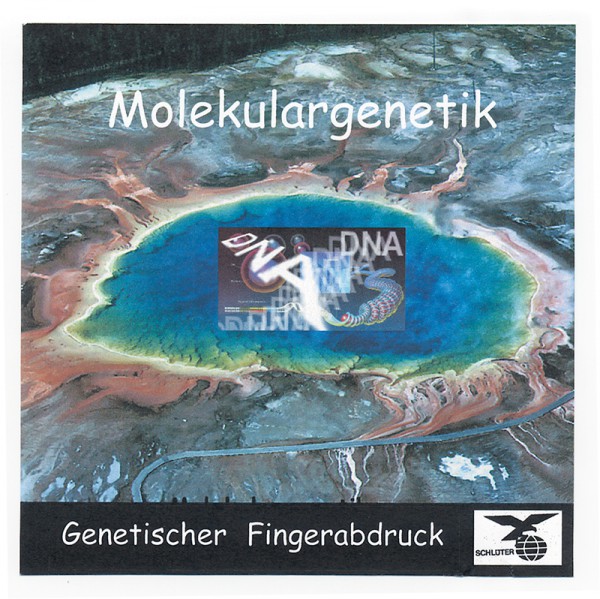 CD Molekulargenetik "Genetischer Fingerabdruck"