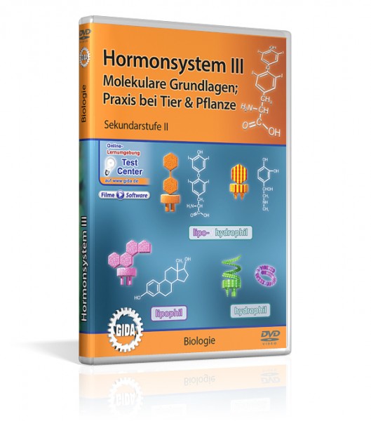 Hormonsystem III