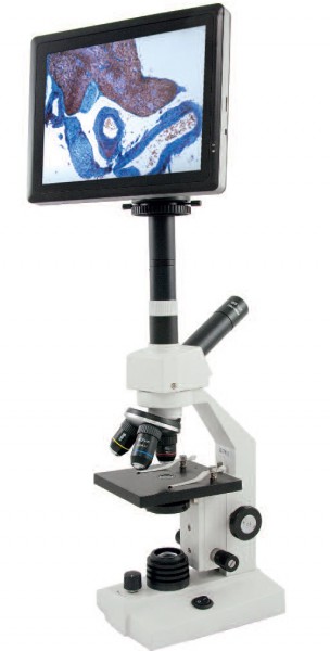 Cell Pad Kamera