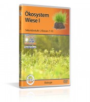 Ökosystem Wiese I Ökosystem Wiese I