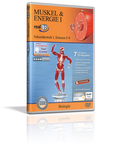 Real 3D Software - Muskel & Energie