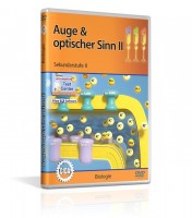 Auge und Optischer Sinn II Auge und Optischer Sinn II