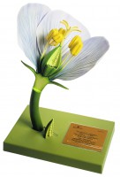 Typ einer freikronblättrigen Angiospermenblüte Typ einer freikronblättrigen Angiospermenblüte