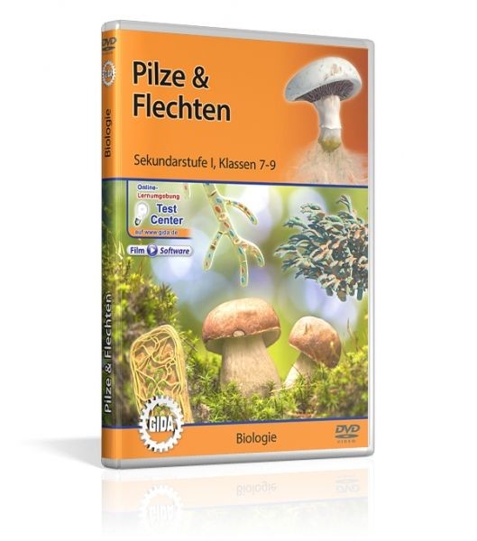 Pilze & Flechten