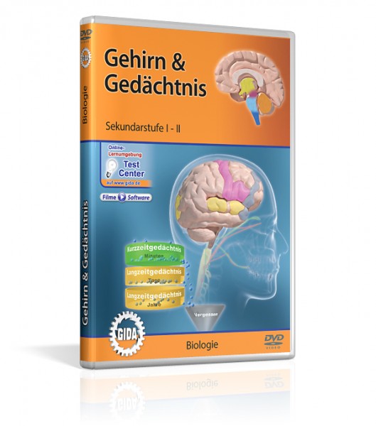 Gehirn & Gedächtnis - DVD