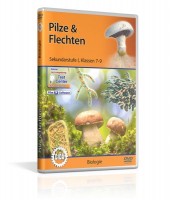Pilze & Flechten Pilze & Flechten