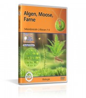 Algen, Moose, Farne Algen, Moose, Farne