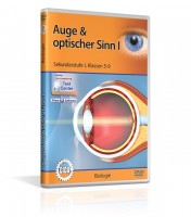 Auge und optischer Sinn I Auge und optischer Sinn I