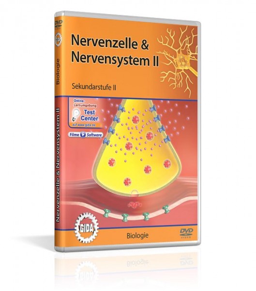 Nervenzelle & Nervensystem II