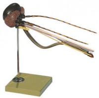 Stechmückenkopf Stechmückenkopf