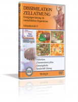 DVD - Dissimilation - Zellatmung DVD - Dissimilation - Zellatmung