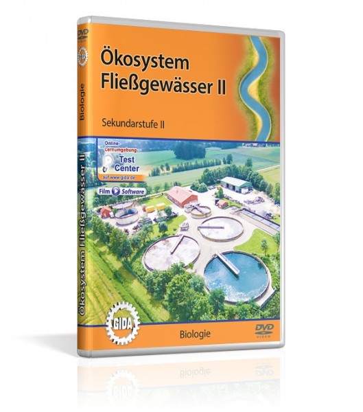 Ökosystem Fließgewässer II