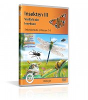 Insekten III Insekten III