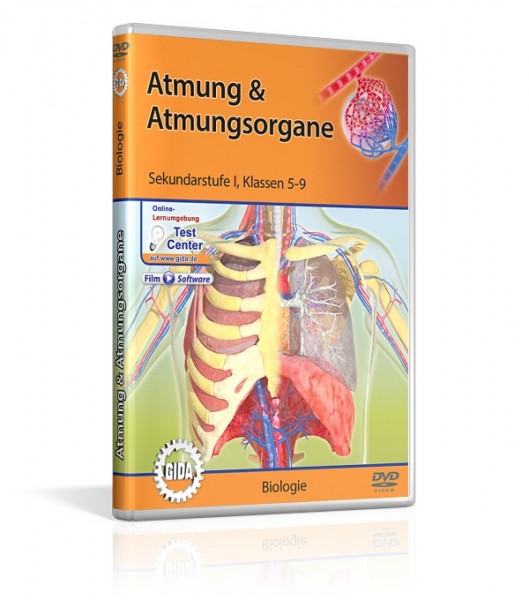 DVD Atmung & Atmungsorgane